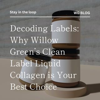 Stay in the loop! Read our latest blog now. Click the link in bio or visit www.willowgreen.com.sg to read more!